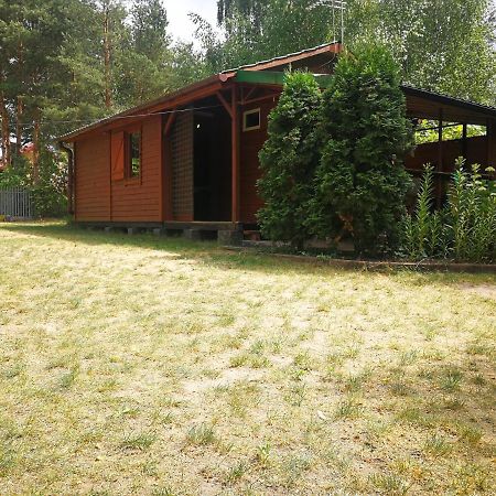 Domki Domek Na Jeziorem Wilczynskim Budzislawskim , Las, Osobno Ogrodzony 2-6 Osob- Klimatyzacja, Ogrzewanie, 62-550 Zygmuntowo Gm Wilczyn Экстерьер фото