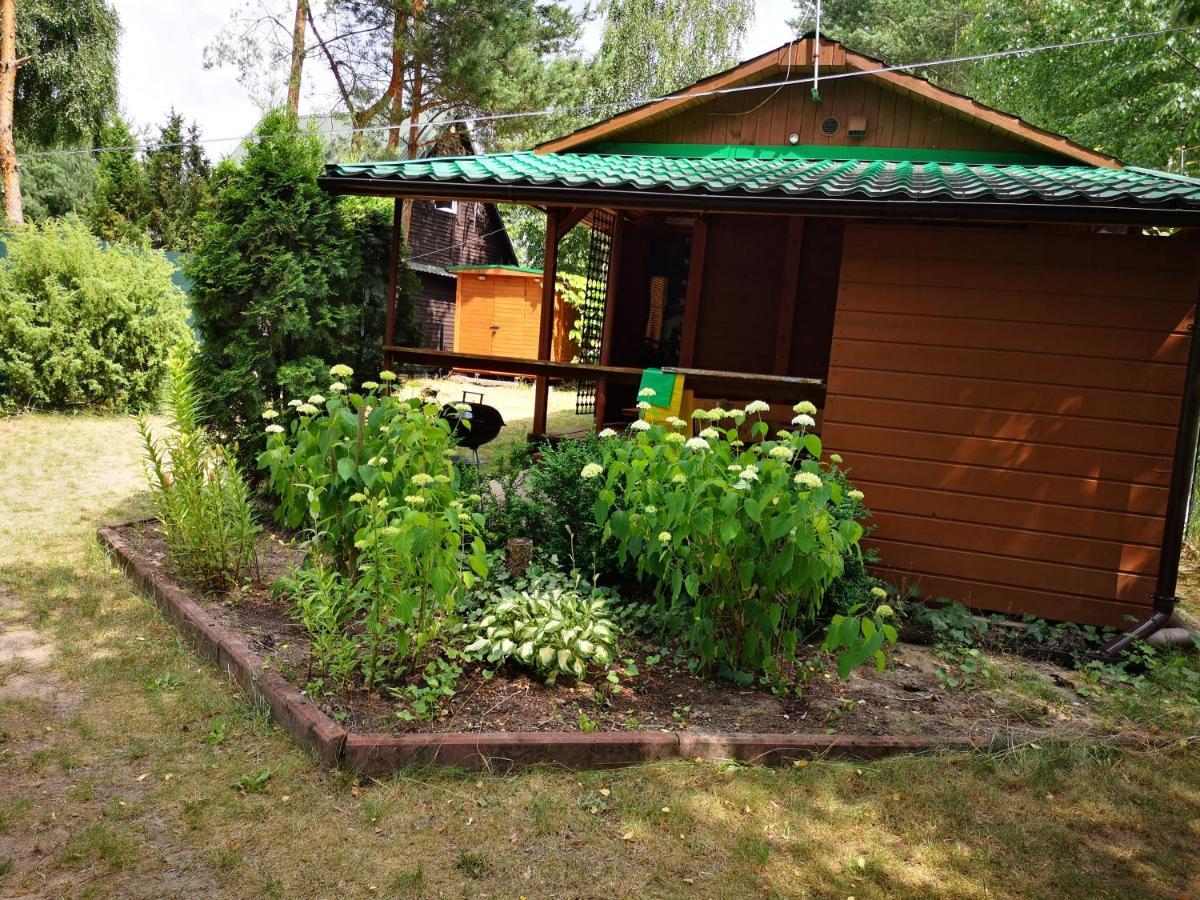 Domki Domek Na Jeziorem Wilczynskim Budzislawskim , Las, Osobno Ogrodzony 2-6 Osob- Klimatyzacja, Ogrzewanie, 62-550 Zygmuntowo Gm Wilczyn Экстерьер фото