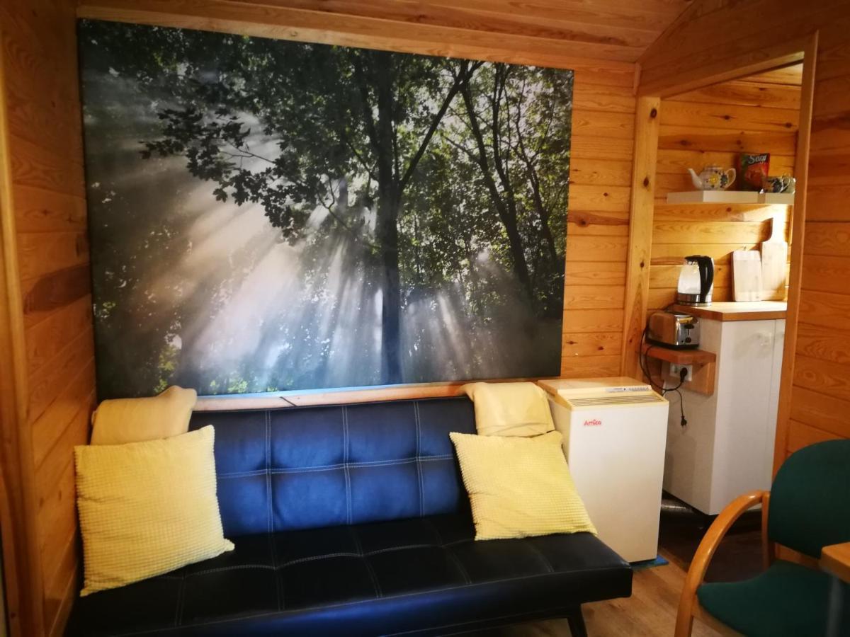 Domki Domek Na Jeziorem Wilczynskim Budzislawskim , Las, Osobno Ogrodzony 2-6 Osob- Klimatyzacja, Ogrzewanie, 62-550 Zygmuntowo Gm Wilczyn Экстерьер фото