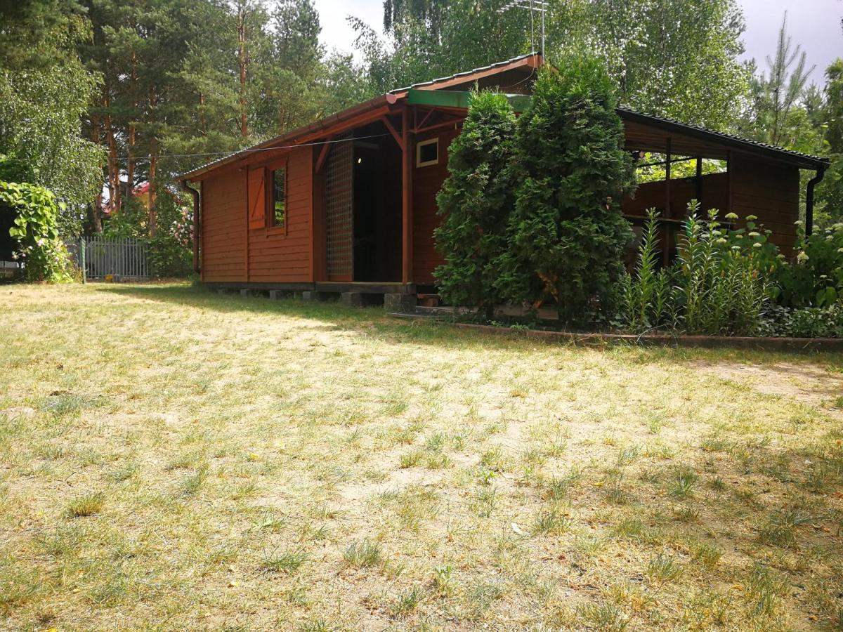Domki Domek Na Jeziorem Wilczynskim Budzislawskim , Las, Osobno Ogrodzony 2-6 Osob- Klimatyzacja, Ogrzewanie, 62-550 Zygmuntowo Gm Wilczyn Экстерьер фото